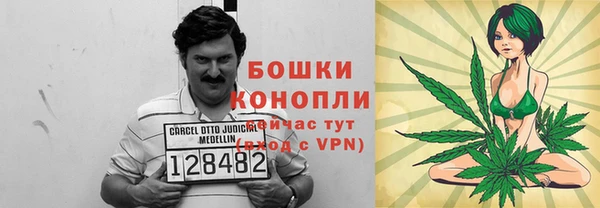 дмт Аркадак