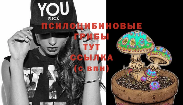 скорость Арсеньев