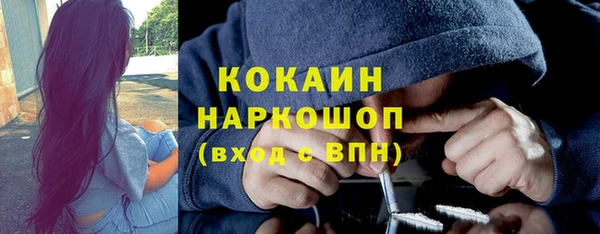 дмт Аркадак