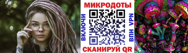 Псилоцибиновые грибы прущие грибы  магазин  наркотиков  МЕГА ТОР  Цивильск 