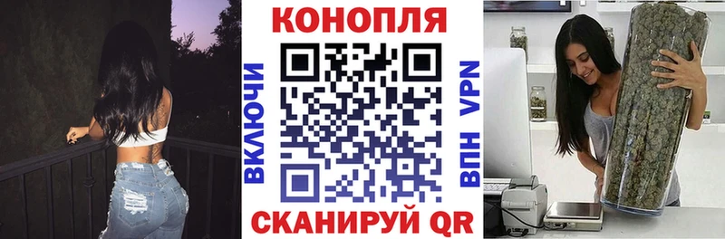 Бошки марихуана план  Цивильск 